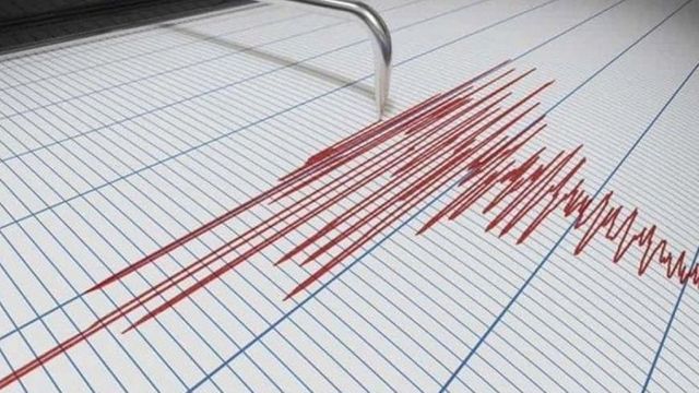 Cutremur cu magnitudinea 4,3, în Vrancea