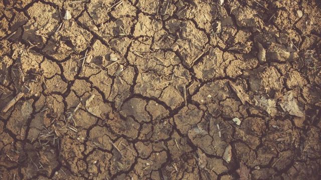 Italia declară stare de urgență din cauza secetei, în 5 regiuni din nord