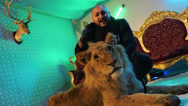 Leul manelistului Dani Mocanu, salvat de activiști și dus în Olanda