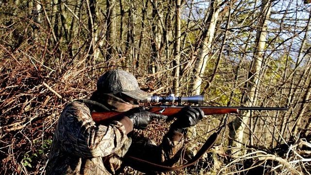 Man 'Mistaken To Be Wild Animal' Shot Dead By Hunting Expedition Group