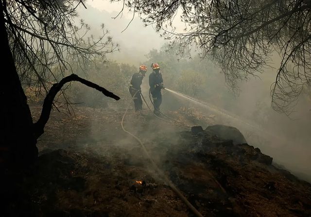 Los selvicultores reclaman un pacto de Estado para poner los bosques en el centro de la política española