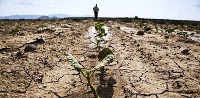 Din cauza secetei, peste 100 de localități din România au restricții la alimentarea cu apă