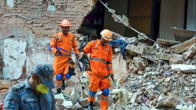 Supreme Court amicus seeks safety audit of all student hostels, PGs near Delhi colleges after Satya Niketan collapse