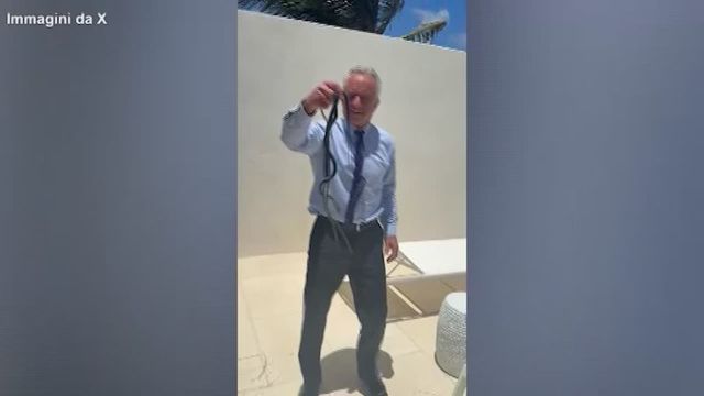 Robert Kennedy Jr morso da due serprenti mentre li maneggia a mani nude
