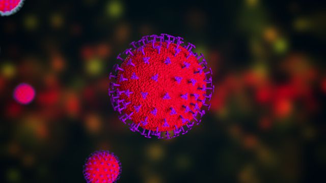 3327 нови случаи на коронавирус у нас, 17,5% от тестовете са положителни