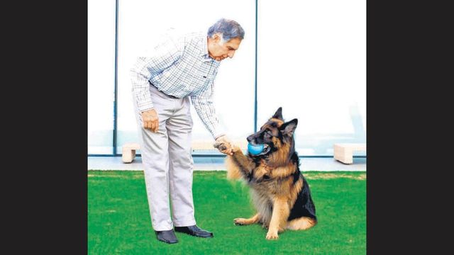 Small Animal Hospital in Mumbai was Ratan Tata’s last project close to his heart