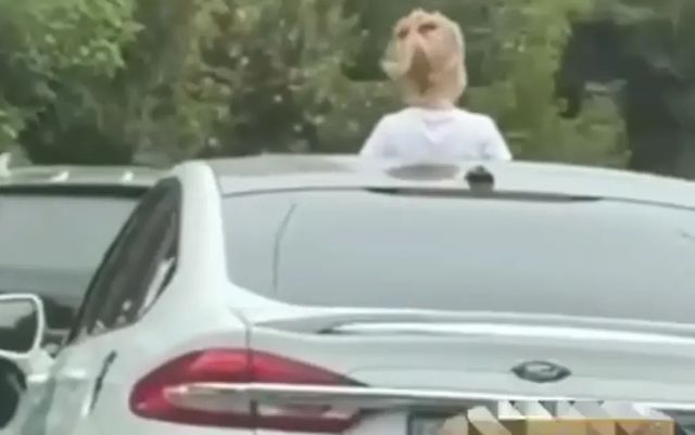 VIDEO Un șofer a fost amendat după ce un copil a ieșit prin trapa mașinii sale aflate în mers