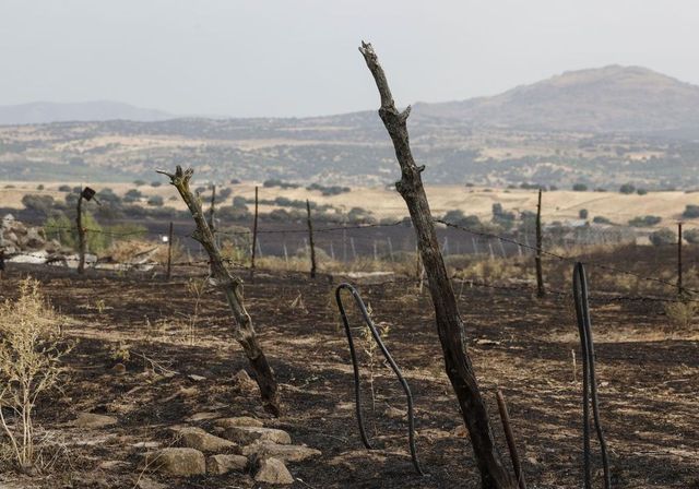 AEMET alerta de la posible propagación de incendios por las tormentas secas