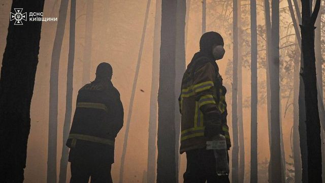 Incendiu forestier în zona radioactivă de la Cernobîl