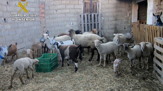 Aemet alerta de la presencia de polvo en suspensión en la Región de Murcia