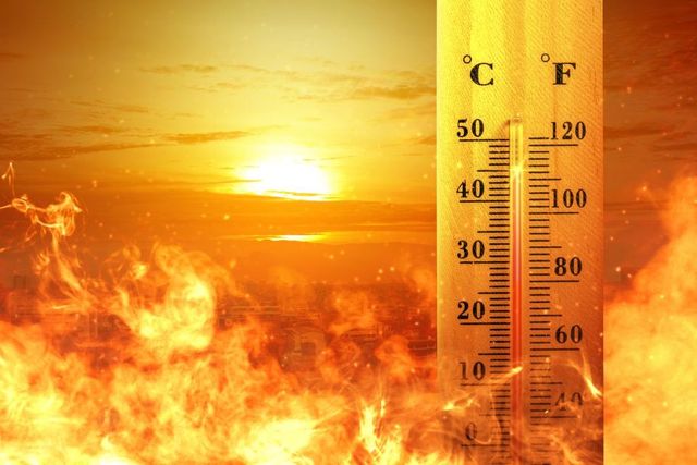 Un nou cod galben de caniculă. Temperaturile vor ajunge la 35 de grade Celsius