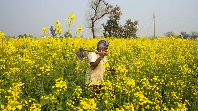 PM KISAN Scheme Latest Installment Out Today, Check Eligibility, How To Check Beneficiary List