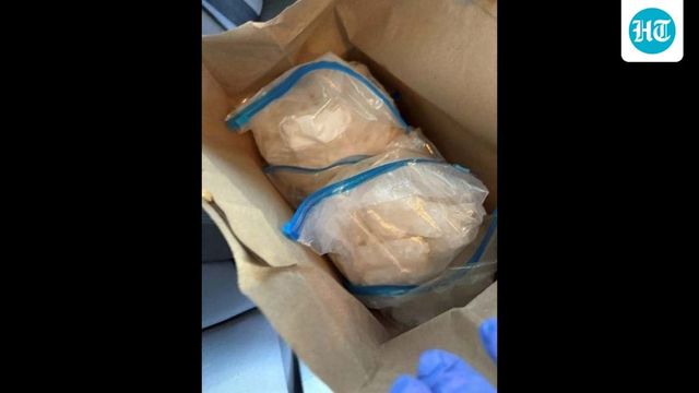 Punjab man charged with selling drugs from California pizza outlet