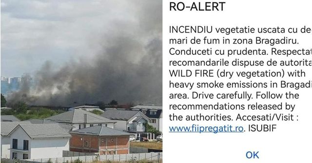 Incendiu de vegetație puternic în Bragadiru. Mesaj Ro-Alert, trimis pe o rază de 2 km din cauza degajărilor mari de fum