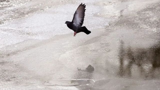 După un episod de vreme severă și nopți geroase, meteorologii vin cu vești bune