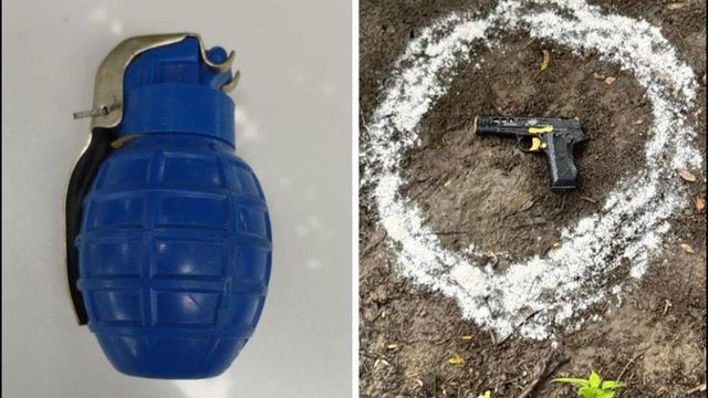 Punjab Police Bust Pak-Backed Babbar Khalsa Terror Network