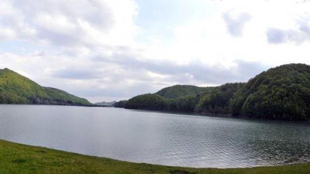 Reprezentanții PSD solicită demiterea ministrului Mediului