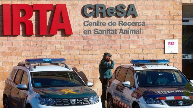 Los análisis genéticos sugieren que el virus de la peste porcina no salió del laboratorio de la Generalitat que estaba a cientos de metros