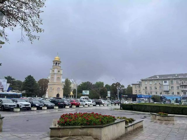 Cod galben de ploi de lungă durată în Republica Moldova
