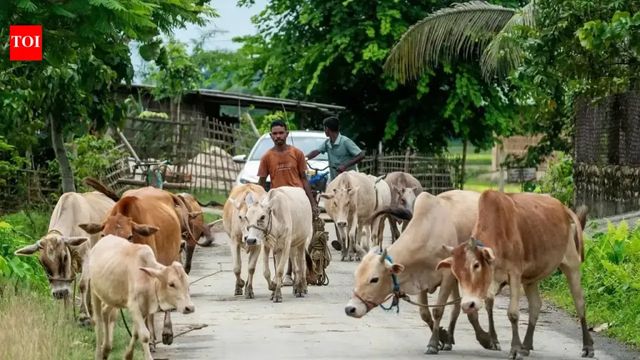 Supreme Court pauses blanket ban on cow slaughter in Tamil Nadu