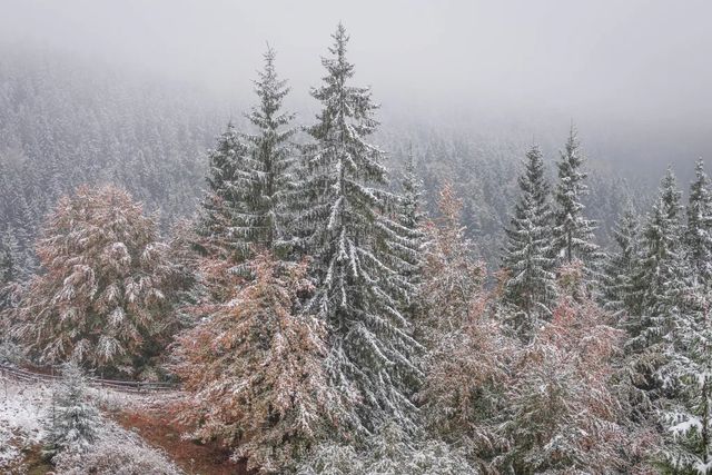 Informare meteo de vânt și precipitații