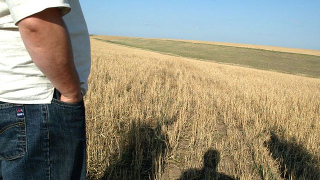 Blocarea de către Rusia a exporturilor de cereale ucrainene este o crimă de război - Josep Borrell
