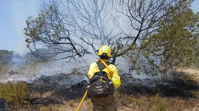Estabilizado el incendio en el Parque Nacional de Doñana tras arrasar 400 hectáreas