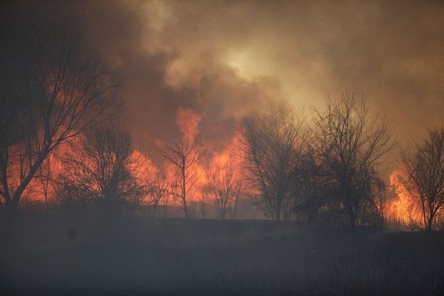 Pompierii din Mehedinți și Caraș-Severin se luptă cu incendiile de vegetație uscată