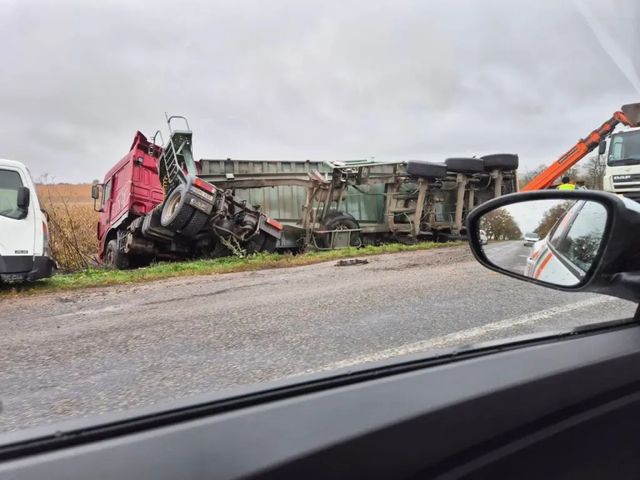 Un camion încărcat cu semințe de floarea soarelui s-a răsturnat,…
