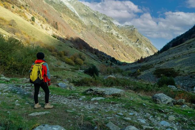 Zeci de turiști polonezi, coborâți de pe munte de jandarmi după apariția unei ursoaice și a unui pui