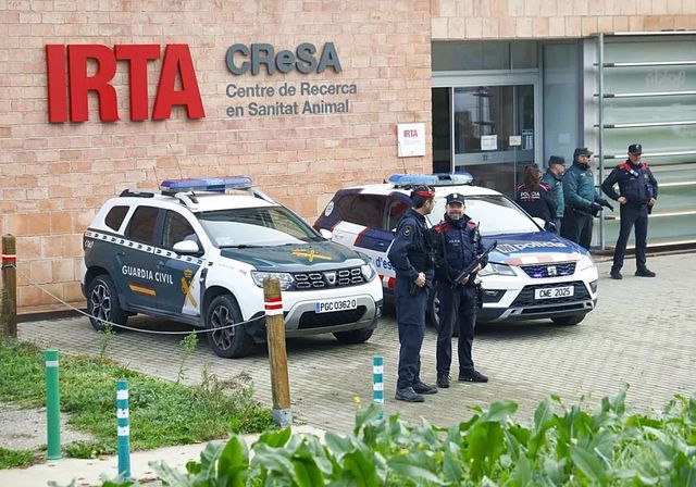 La auditoría externa avala la seguridad y los protocolos del Irta-CReSA frente a la peste porcina africana