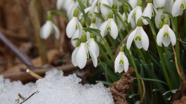 Vremea în următoarea lună: temperaturi peste normal și puține precipitații în toată țara