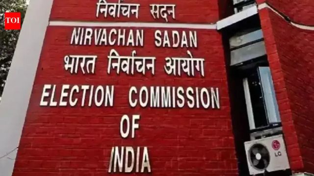 EC extends deadline for voter verification exercise in Andhra Pradesh, Haryana