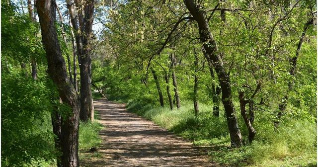 Un bărbat care fusese dat dispărut vineri a fost găsit mort într-o pădure din Buzău