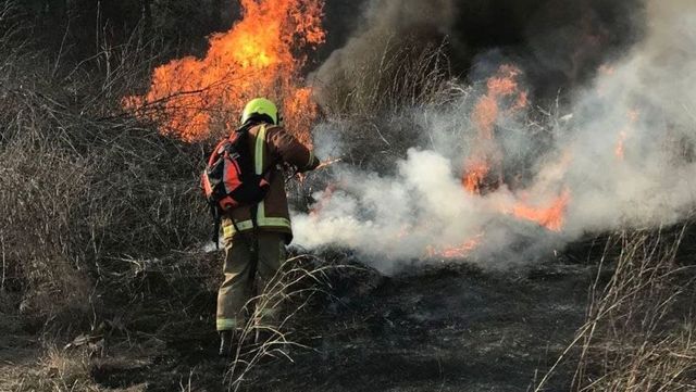 Pompierii din Cahul au intervenit pentru stingerea unui incendiu de vegetație care distrus șase hectare de pădure