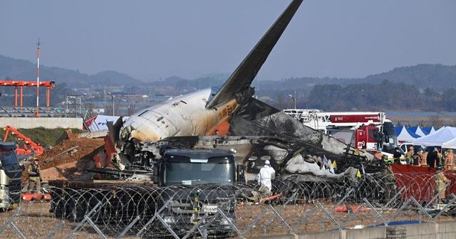 Un eveniment rar, posibila cauză a prăbușirii avionului Jeju Air, potrivit unei surse din anchetă