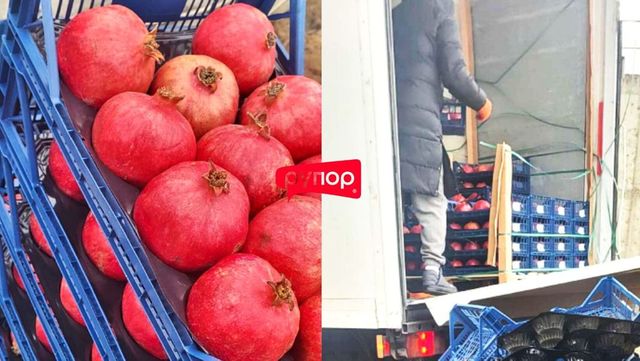 НАБПП уничтожило более двух тонн импортного граната из-за опасений о его заражении