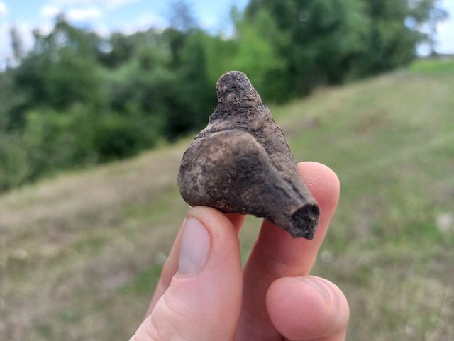 Descoperire spectaculoasă în Neamț. Arheologii au găsit vestigii vechi de 7000 de ani