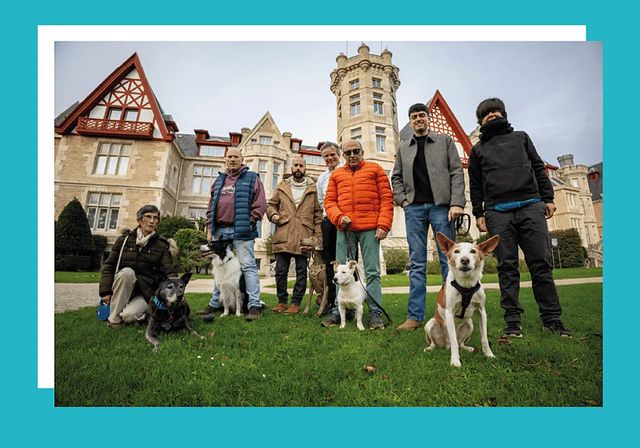 Los perros del estudio de Biodogtor detectan el cáncer de pulmón «con precisión máxima»