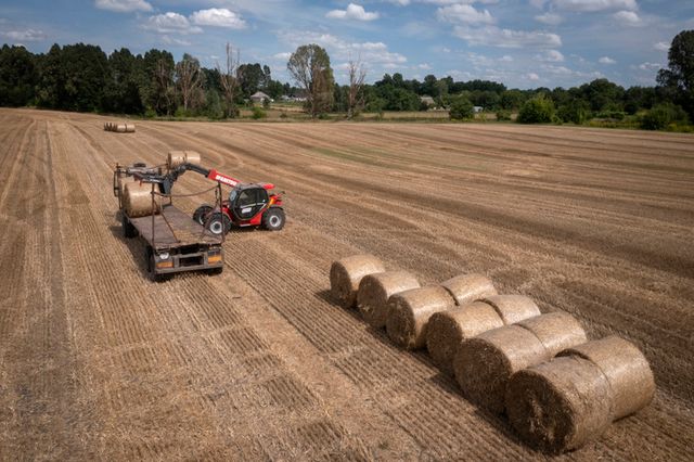 Едностранната забрана от някои държави за внос на украинско зърно изглежда незаконна, според испански министър