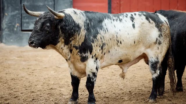 David de Miranda, por la Puerta del Príncipe