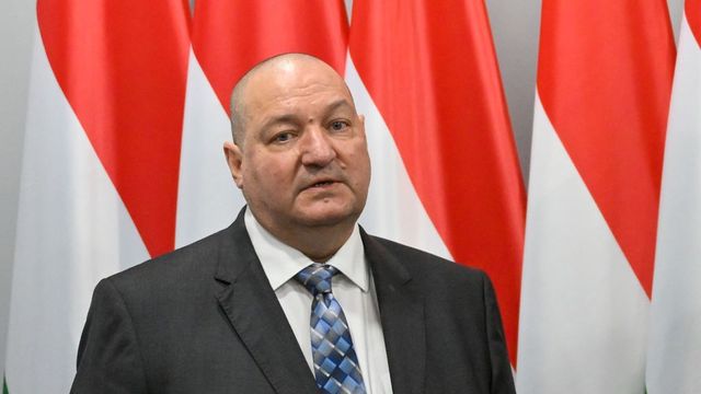 Németh Szilárd lemondott a Magyar Birkózó Szövetség elnöki posztjáról
