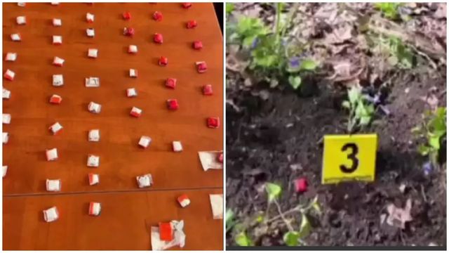 Un tânăr din Briceni, prins în flagrant în timp ce ascundea droguri într-o pădure. Ce au găsit polițiștii