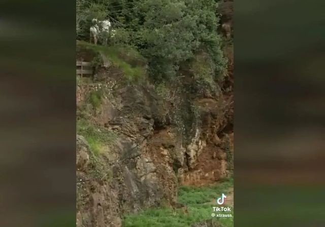 Cabárceno denunciará a tres turistas por colarse en el recinto de los lobos