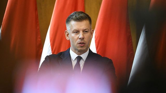 Energia-krízishelyzet jöhet, Magyar Péter szerint önkorlátozásra lesz szükség