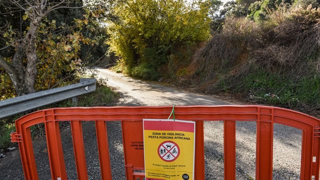 La Generalitat ordena una auditoría de los laboratorios que trabajan con el virus de la peste porcina