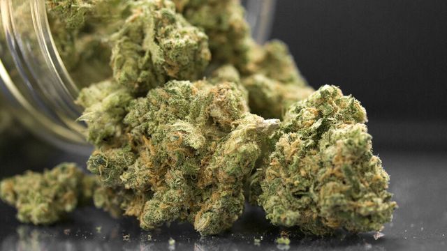 Заловиха близо 700 кг марихуана, скрита в товарен влак, идващ от Турция