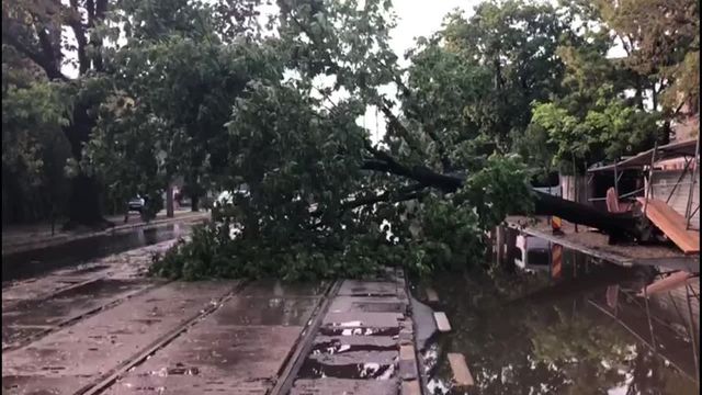 Furtuna a făcut dezastru în Capitală. Copaci rupți în zona Kiseleff, străzi inundate în Colentina, avion lovit pe aeroport