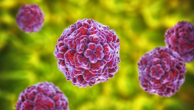 Cosa sappiamo sull’Enterovirus E11 che ha provocato la morte di 7 bambini in Francia: sintomi e cura
