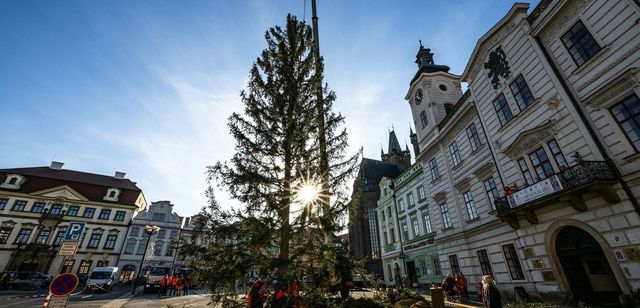 Na Staroměstském náměstí v Praze v noci vztyčili vánoční strom